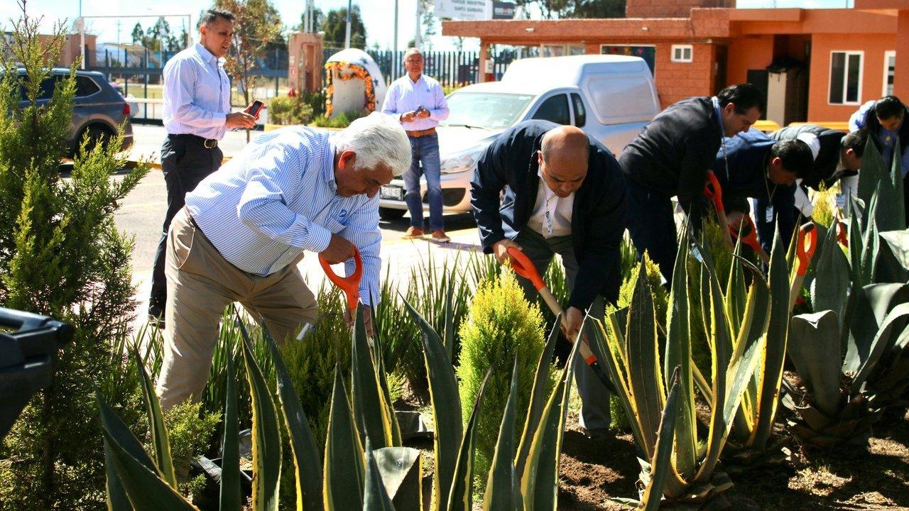 Several men use shovels to plant shrubs beside agave plants outside a building.