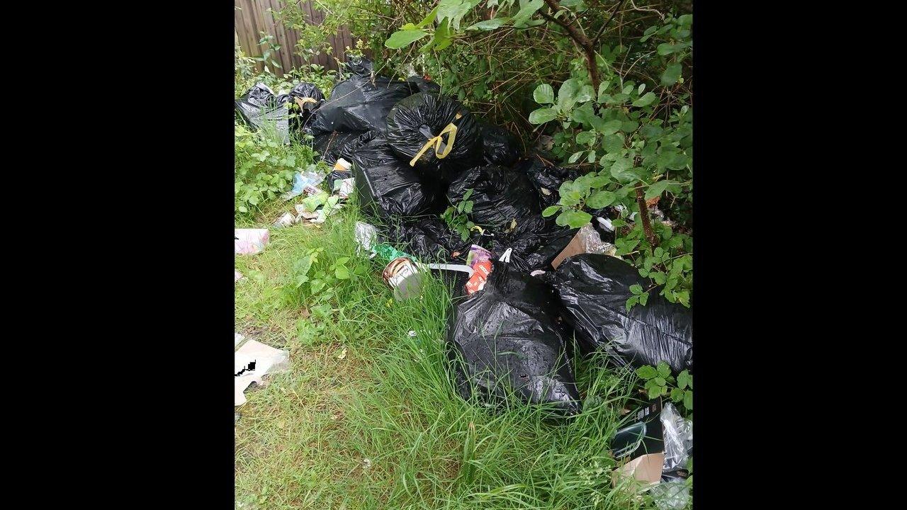 Black rubbish bags and loose litter dumped in grass beside bushes and a wooden fence.