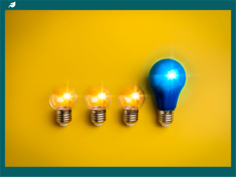 Innovative Leadership in Sustainability: Lessons From Across Industries