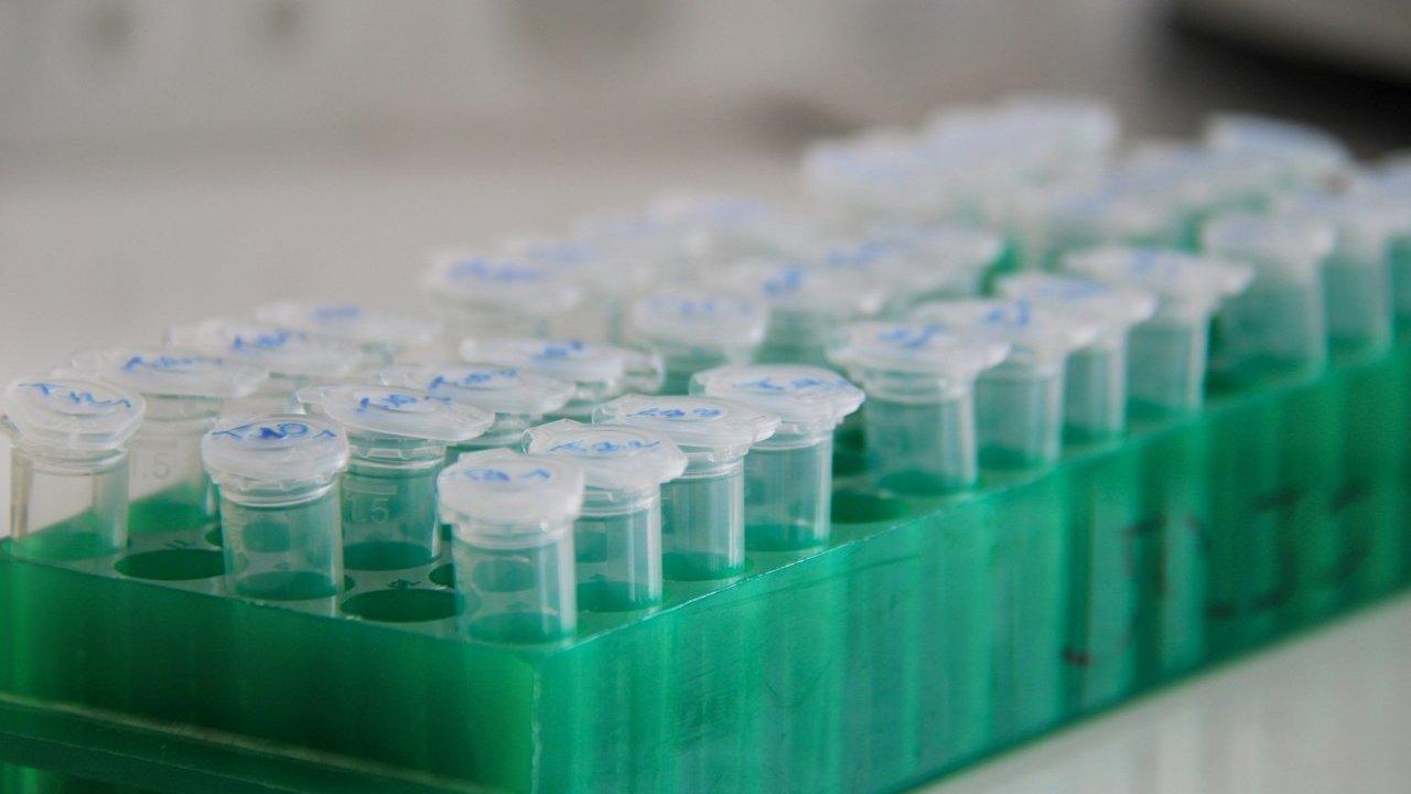 Rows of clear plastic sample tubes with handwritten labels in a green laboratory rack