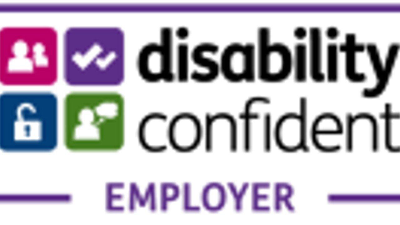 Disability Confident Employer logo with four colored icons and purple lines
