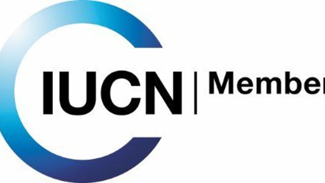 IUCN Member logo with a blue circular arc on a white background