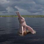 A pink river dolphin leaps from a river beneath dark storm clouds.